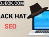 SEO Black Hat: Unveiling the Dark Side of Search Engine Optimization