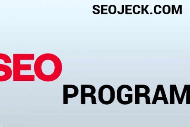 SEO Program: Boost Your Website's Visibility and Traffic